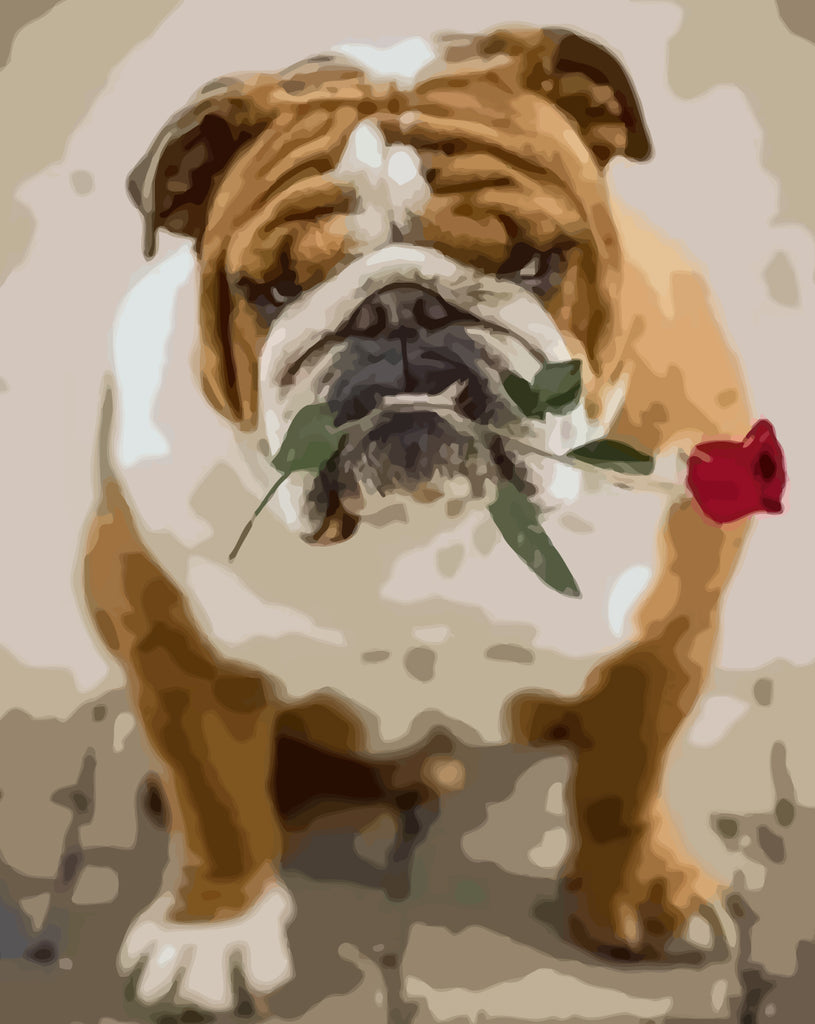 Bulldog Holding a Rose in Its Mouth Paint by Numbers