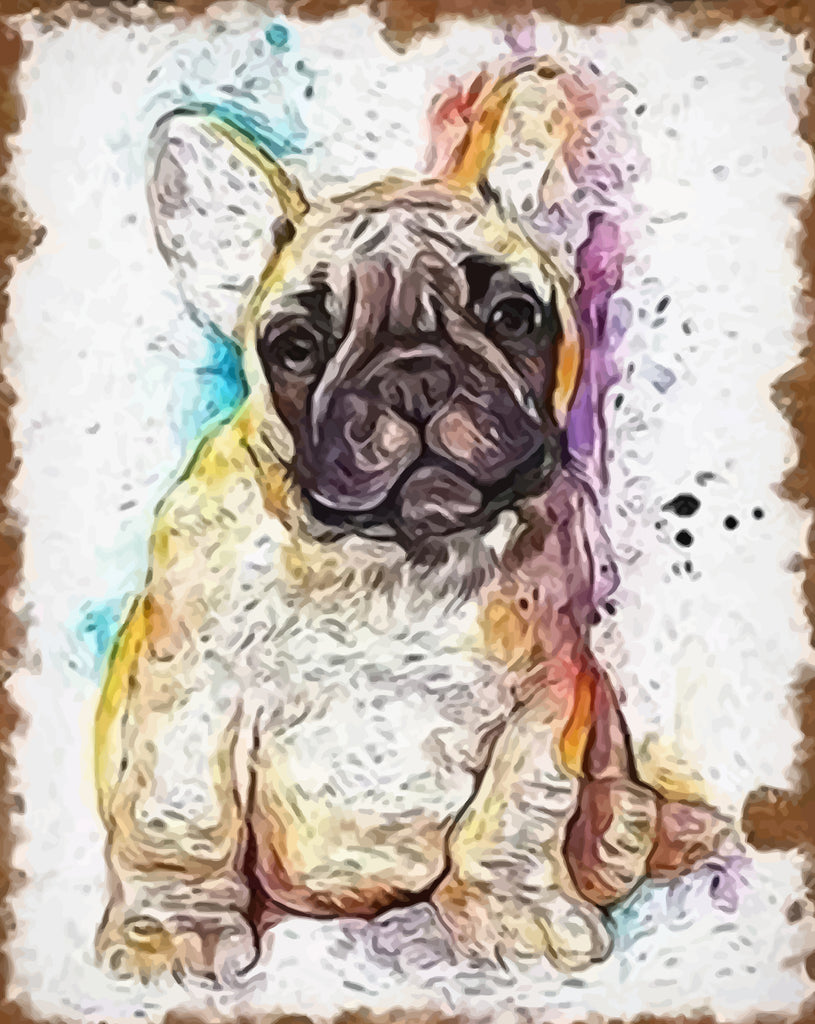 Bulldog Paint by Numbers