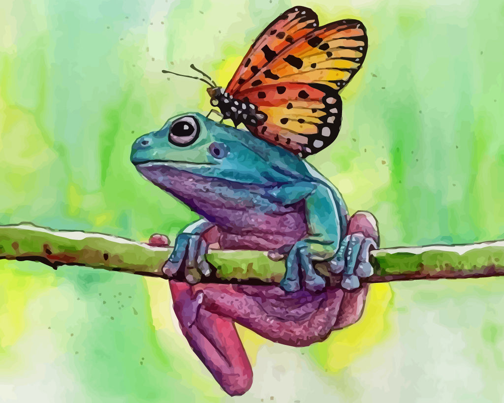 Butterfly and Frog Paint by Numbers