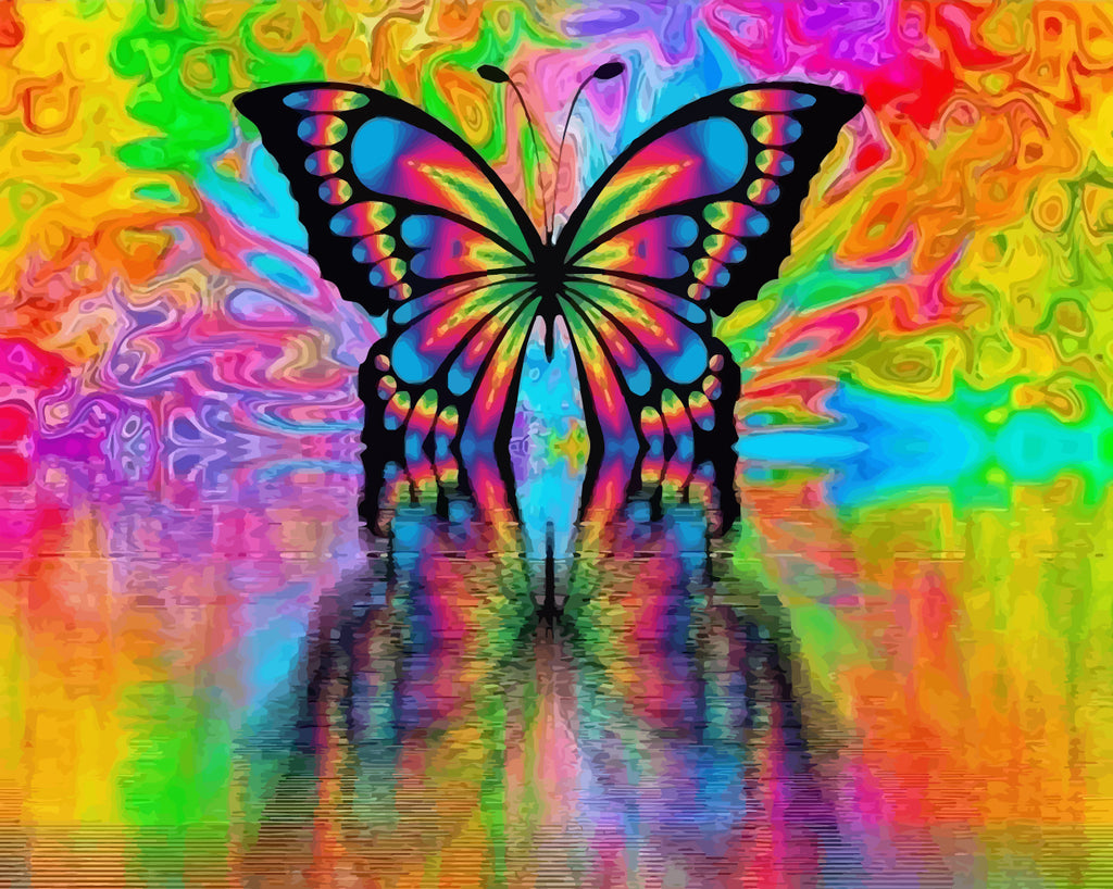 Butterfly and Reflection Paint by Numbers