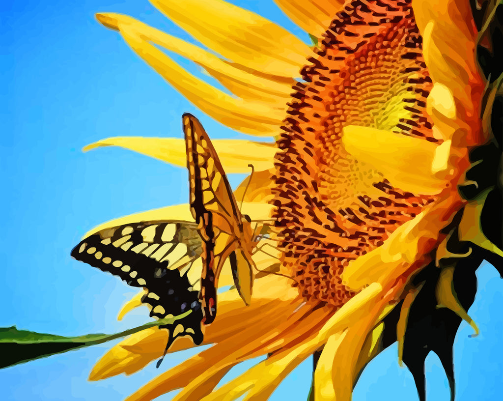 Butterfly and Sunflower Paint by Numbers