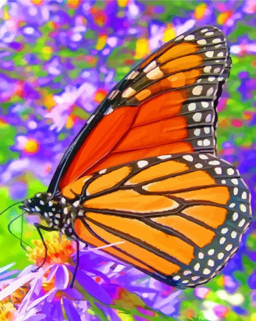 Butterfly on A Purple Flower Paint by Numbers