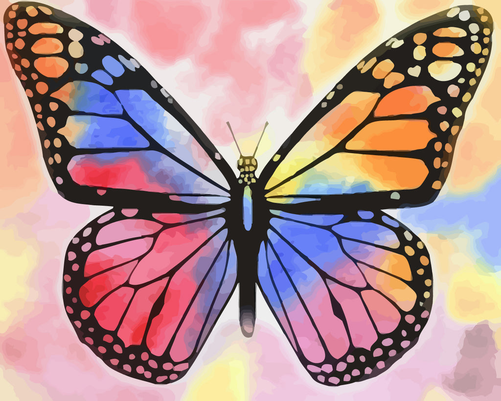 Butterfly on Colorful Background Paint by Numbers