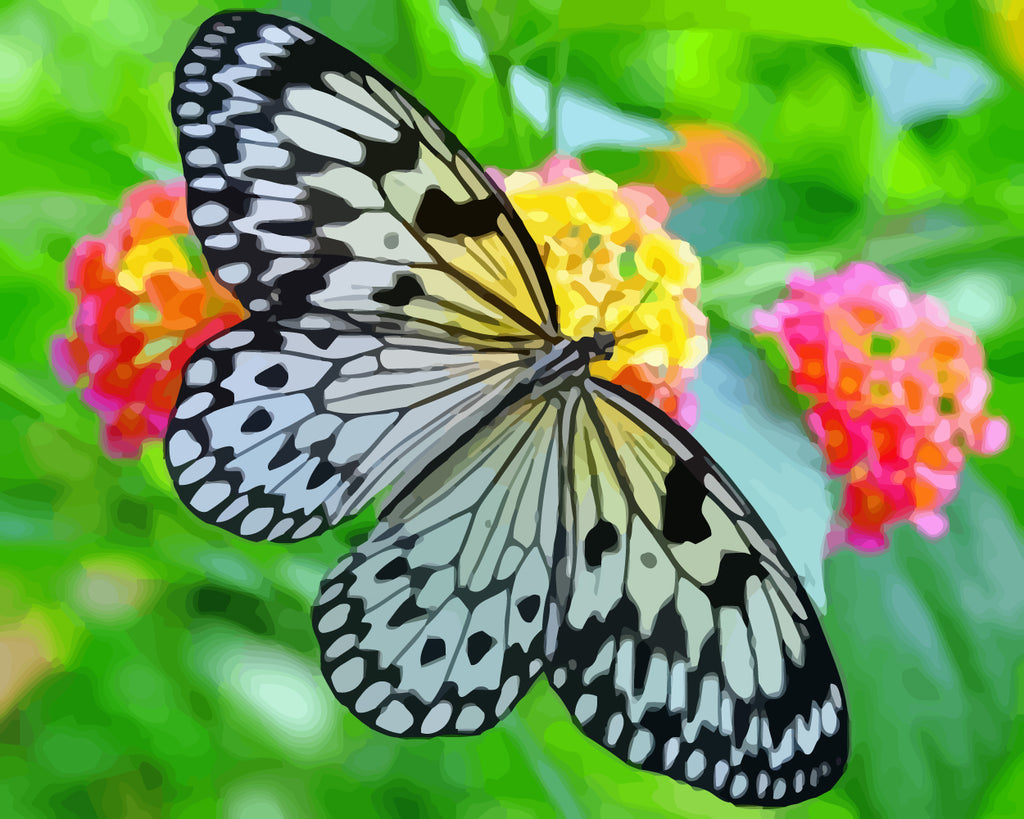 Butterfly on the Flower Paint by Numbers