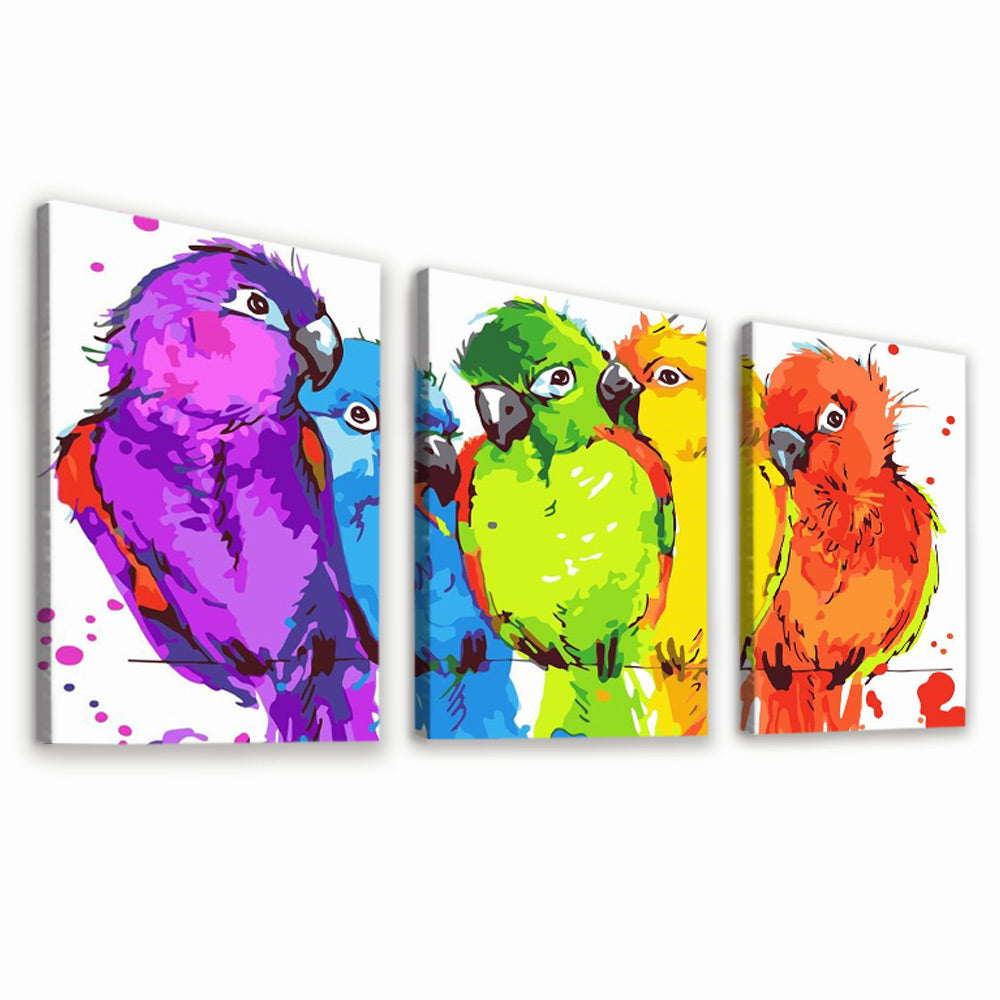 Cartoon Colorful Birds 3 Pack Paint By Numbers