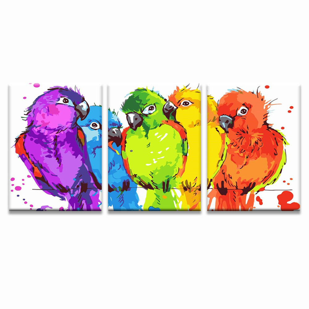 Cartoon Colorful Birds 3 Pack Paint By Numbers