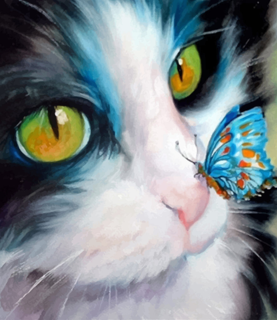 Cat and Blue Butterfly Paint by Numbers