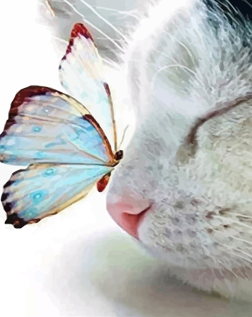 Cat and Butterfly Paint by Numbers