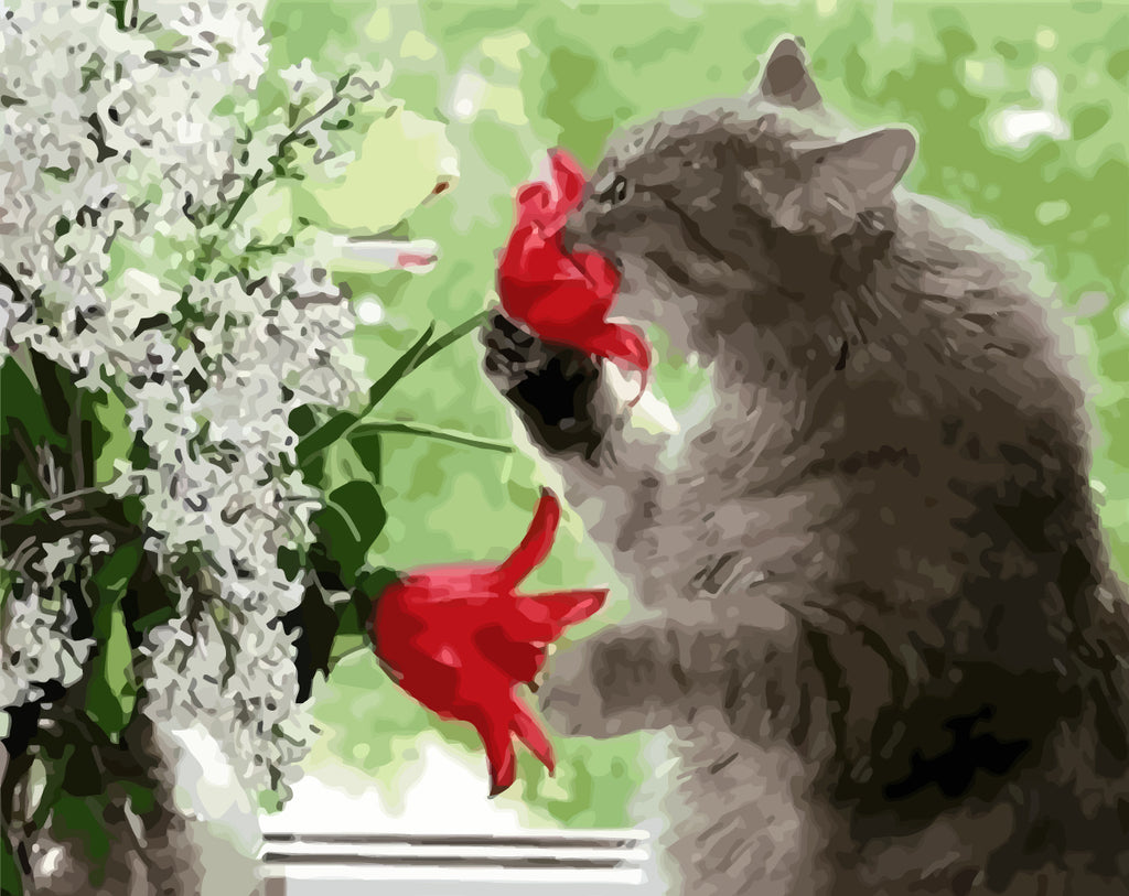 Cat Holding Red Flowers Paint by Numbers