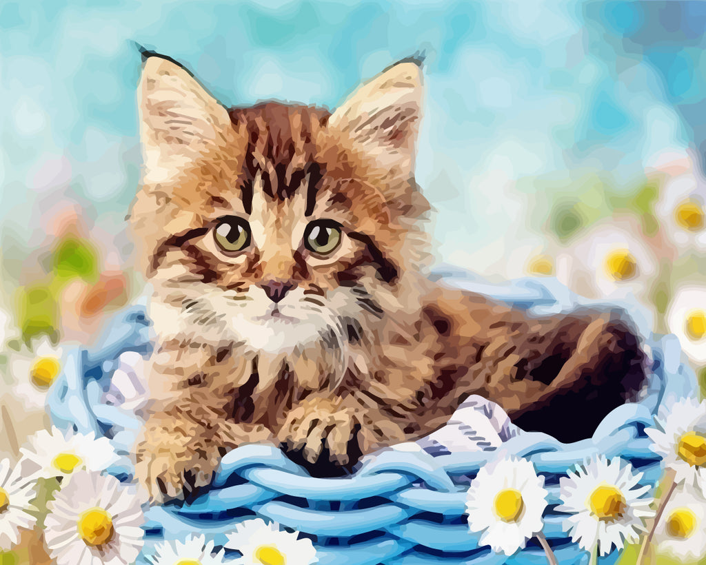 Cat in Basket and Daisies Paint by Numbers