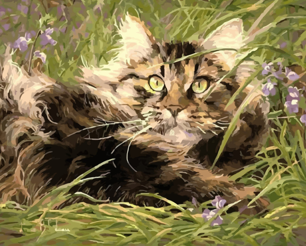 Cat on Grass Paint by Numbers