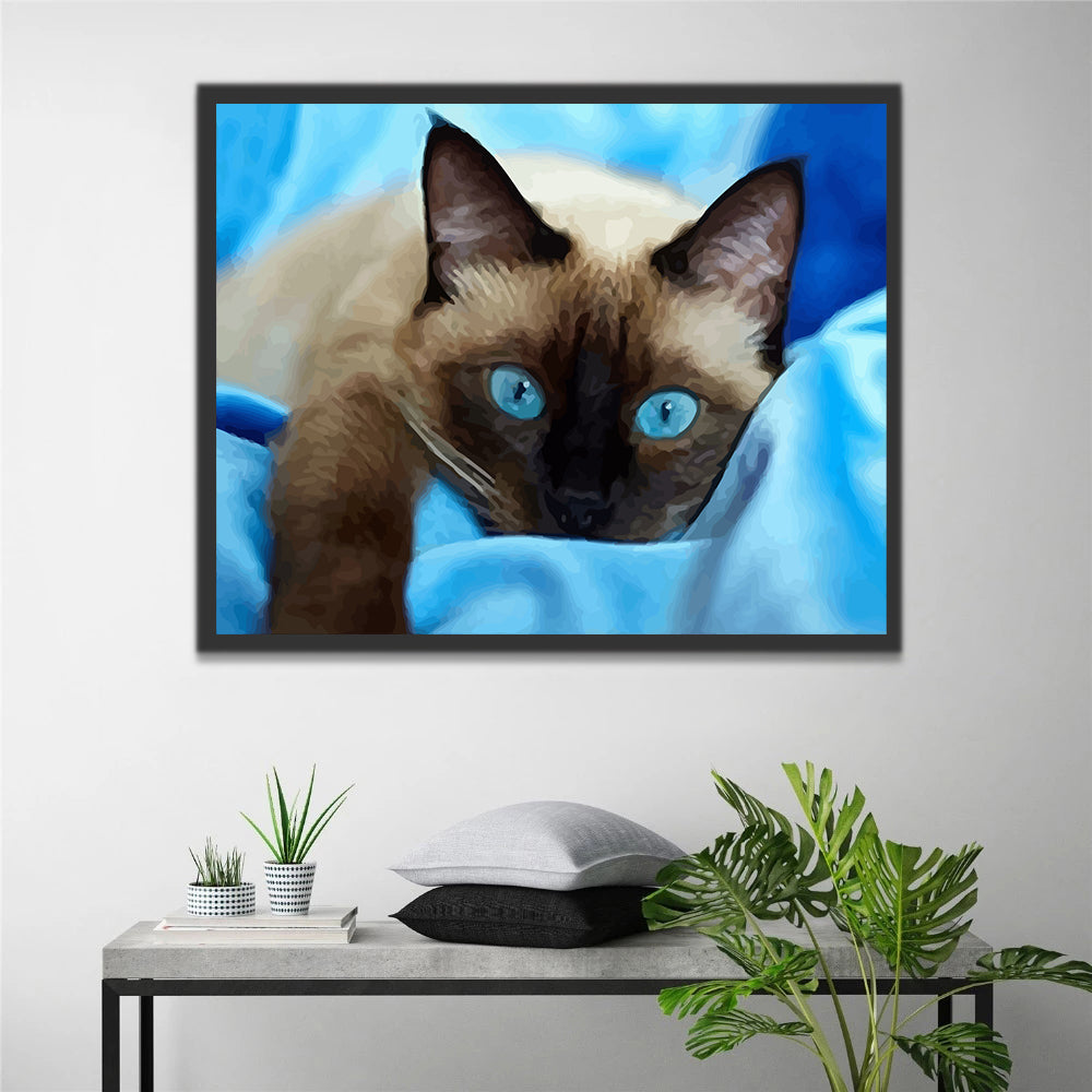 Cat with Blue Eyes Paint by Numbers