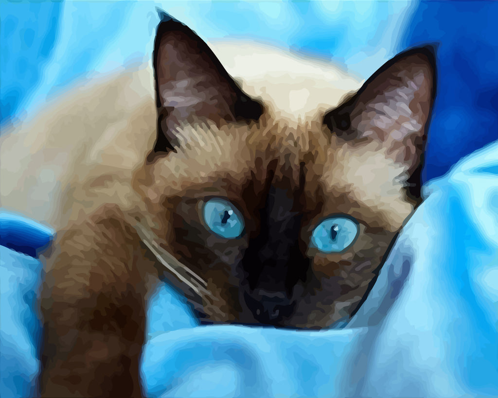 Cat with Blue Eyes Paint by Numbers