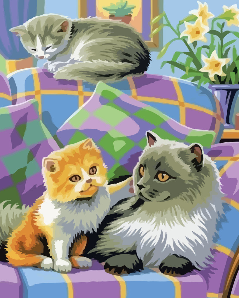 Cats on Sofa Paint by Numbers