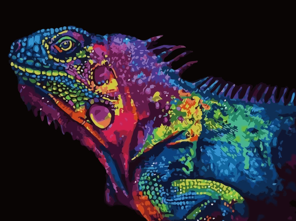 Chameleon Paint by Numbers