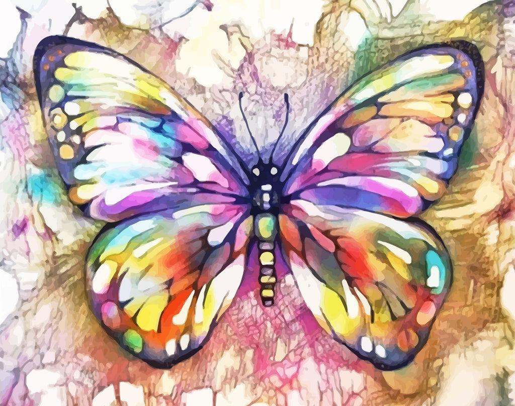 Colorful Butterfly Paint by Numbers