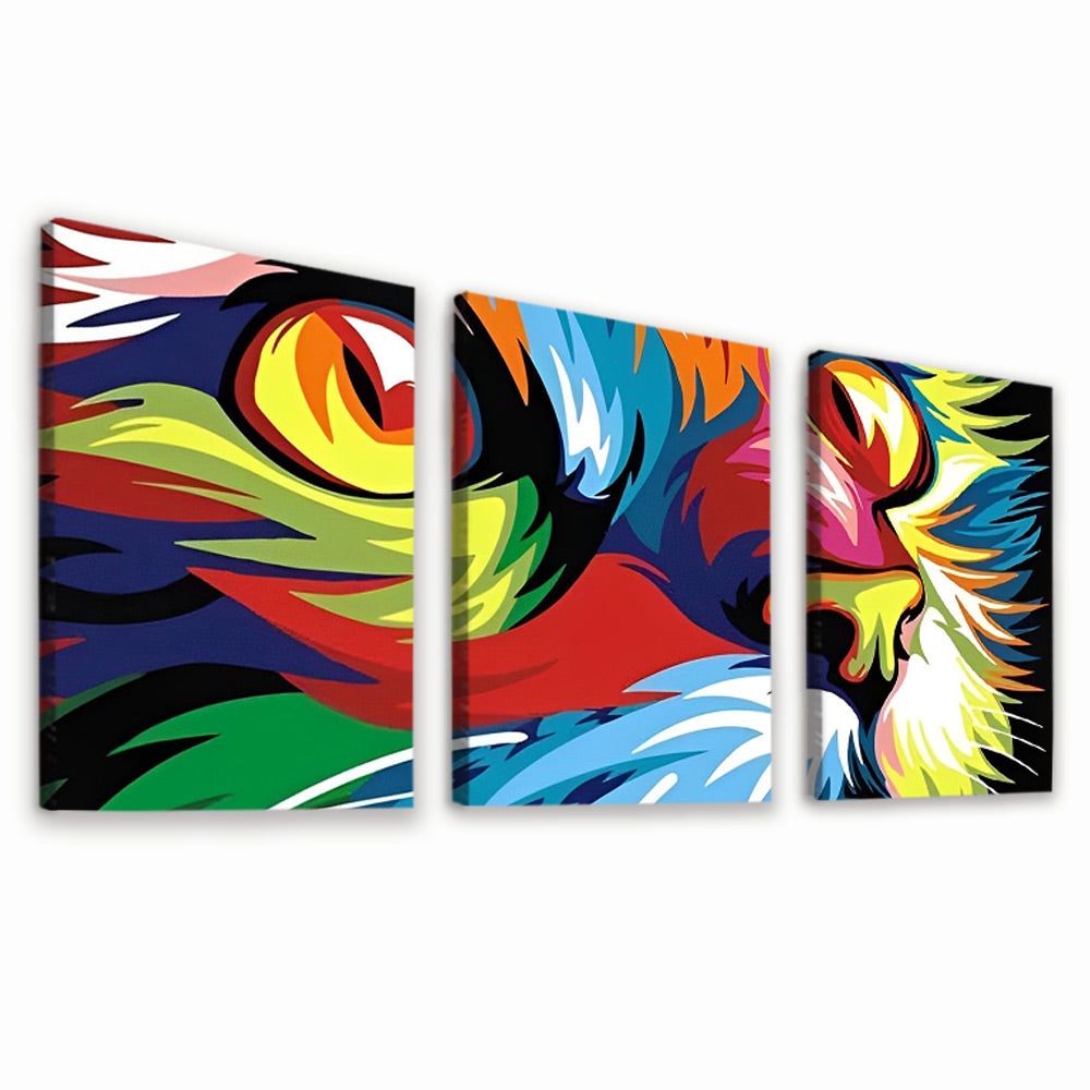 Colorful Cat Face 3 Pack Paint By Numbers