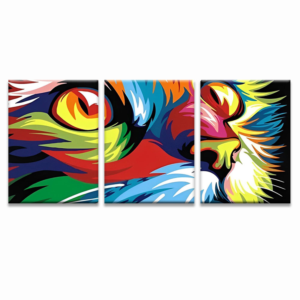 Colorful Cat Face 3 Pack Paint By Numbers