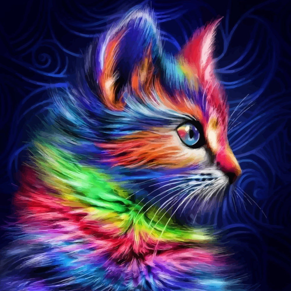 Colorful Cat in the Dark Paint by Numbers