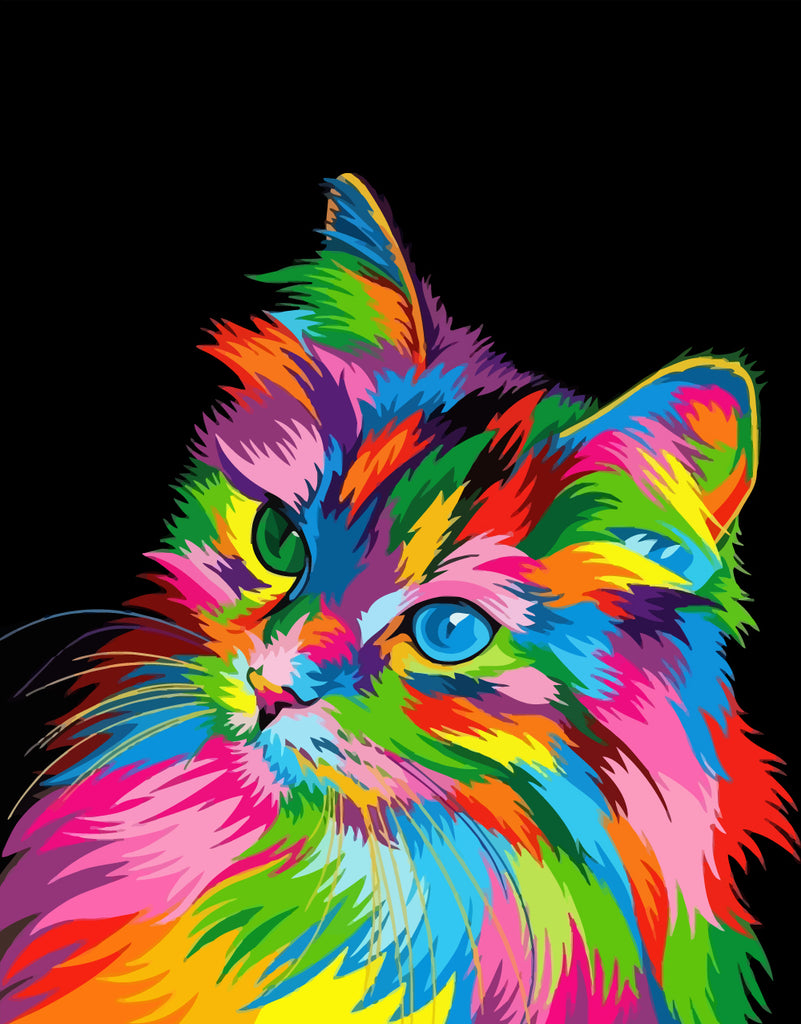 Colorful Cat in the Dark Paint by Numbers