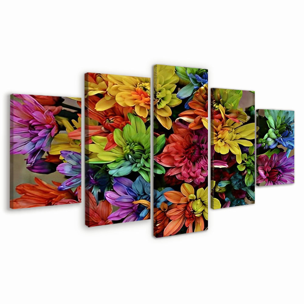 Colorful Chrysanthemums 5 Pack Paint By Numbers