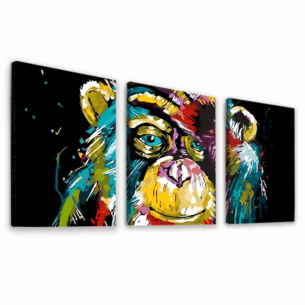Colorful Gorilla 3 Pack Paint By Numbers