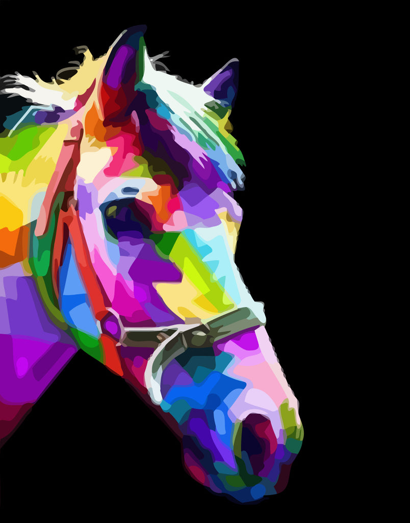 Colorful Horse in the Dark Paint by Numbers