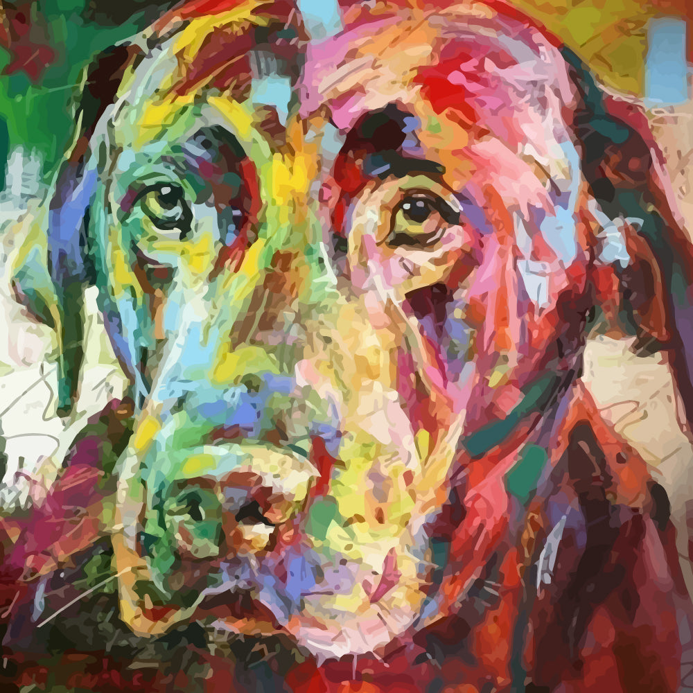 Colorful Labrador Paint by Numbers
