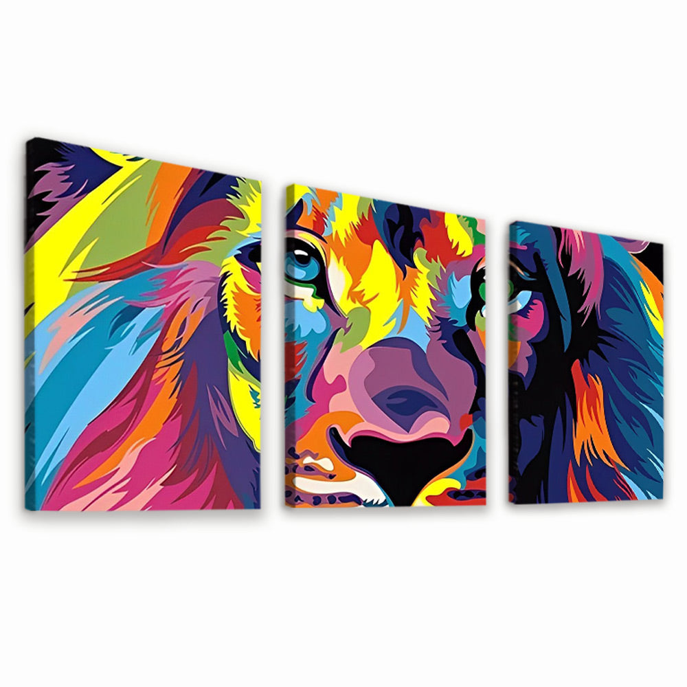 Colorful Lion Head 3 Pack Paint By Numbers