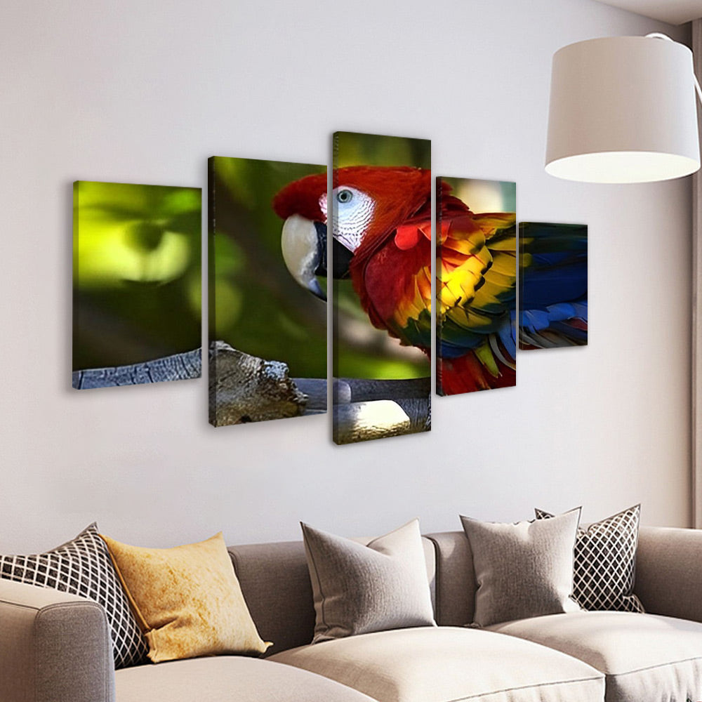 Colorful Parrot 5 Pack Paint By Numbers