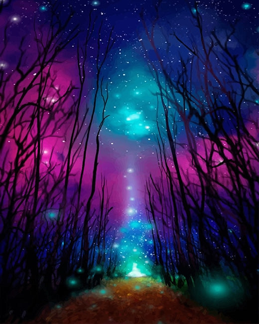 Colorful Polar Lights Paint by Numbers