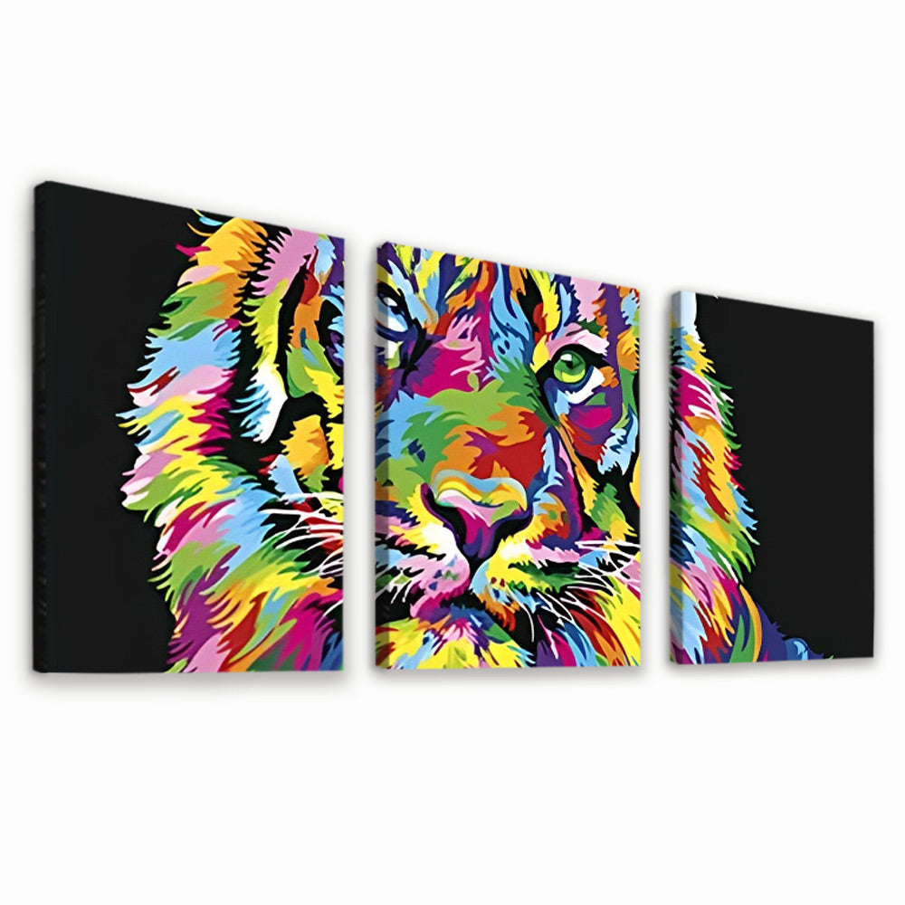 Colorful Tiger Face 3 Pack Paint By Numbers