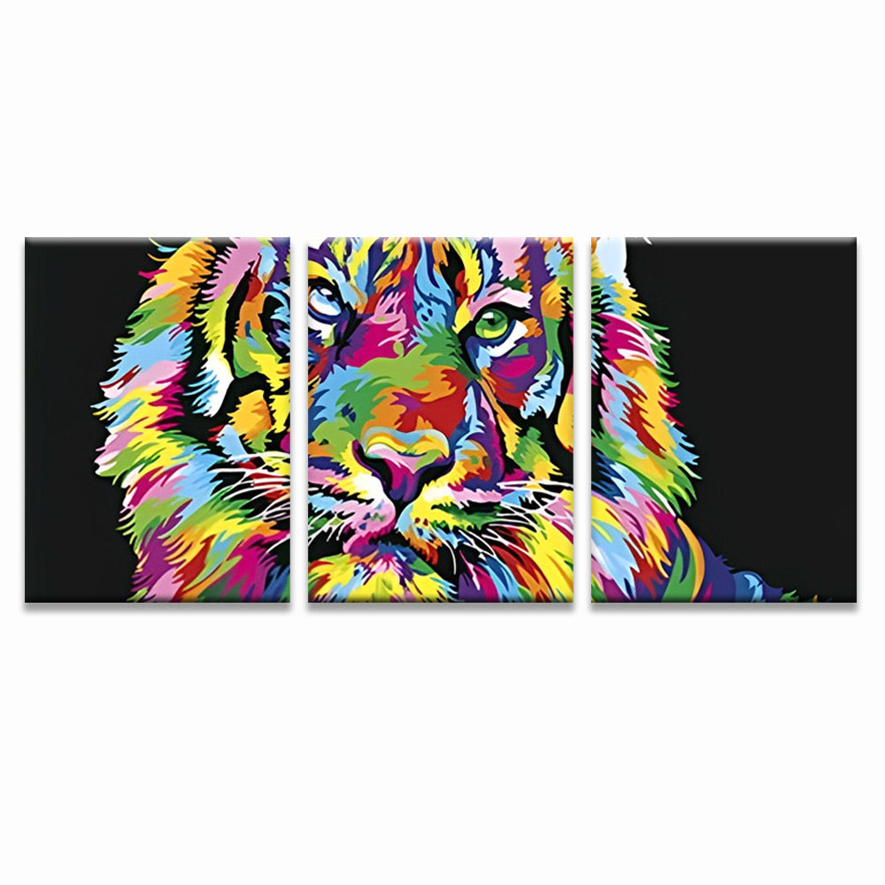 Colorful Tiger Face 3 Pack Paint By Numbers