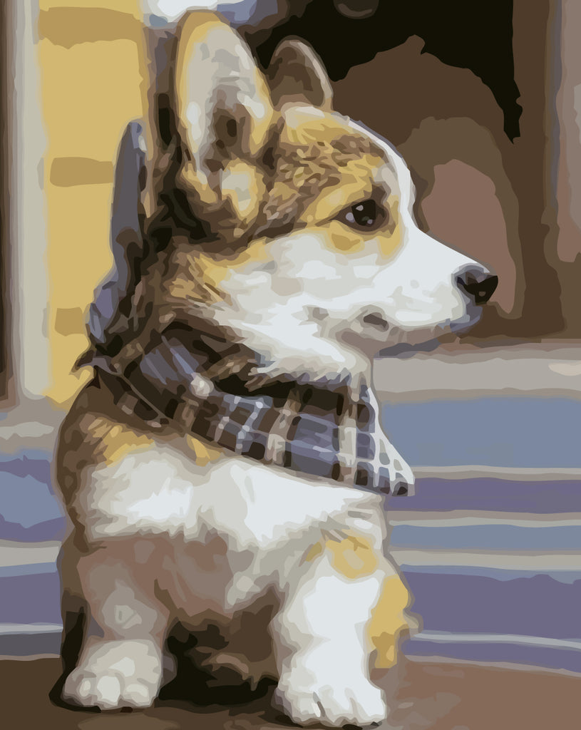 Corgi Wearing Scarf Paint by Numbers