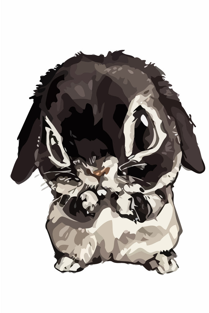 Cute Cartoon Rabbit Paint by Numbers