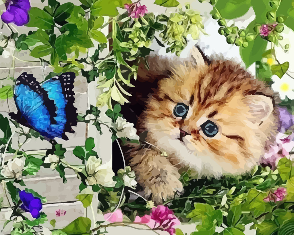 Cute Cat and Blue Butterfly Paint by Numbers