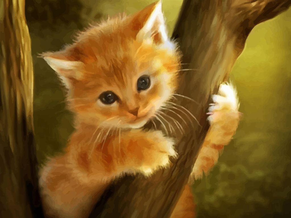 Cute Cat on the Tree Paint by Numbers