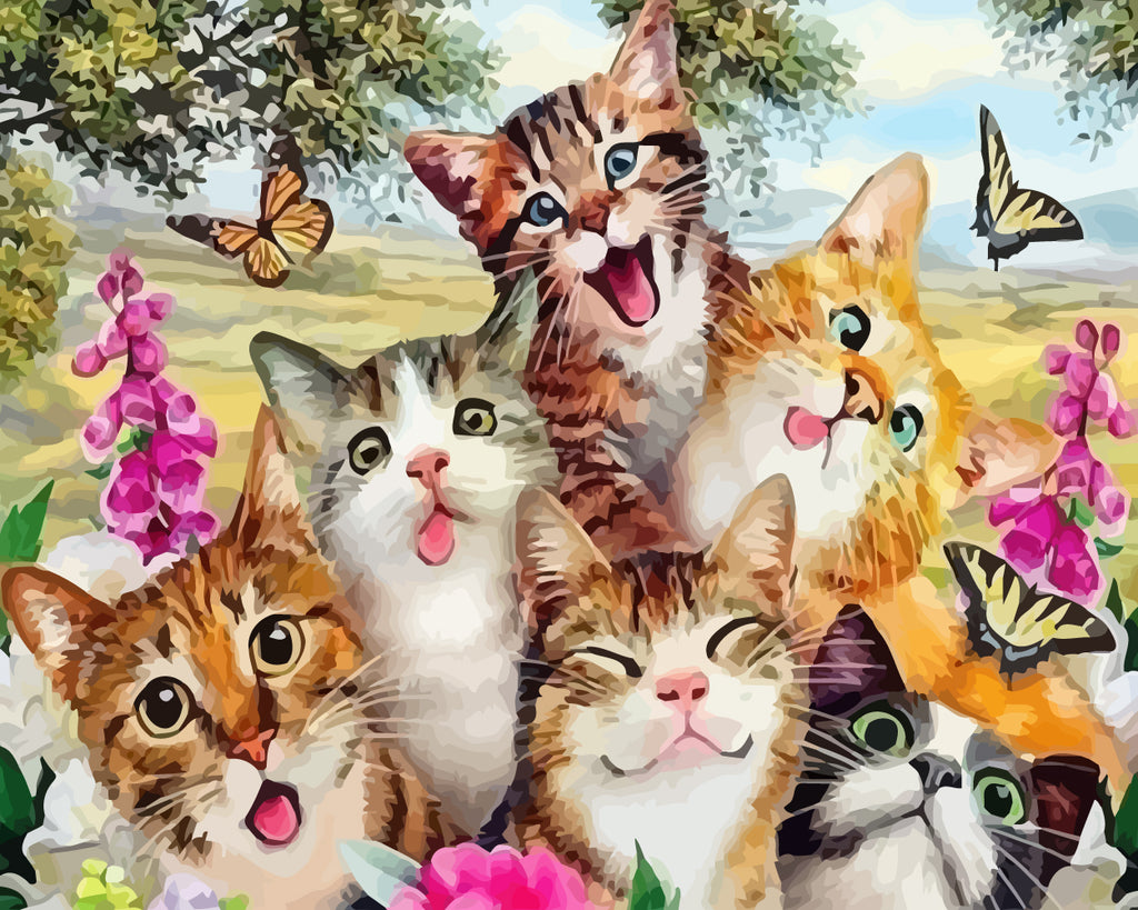 Cute Cats Paint by Numbers