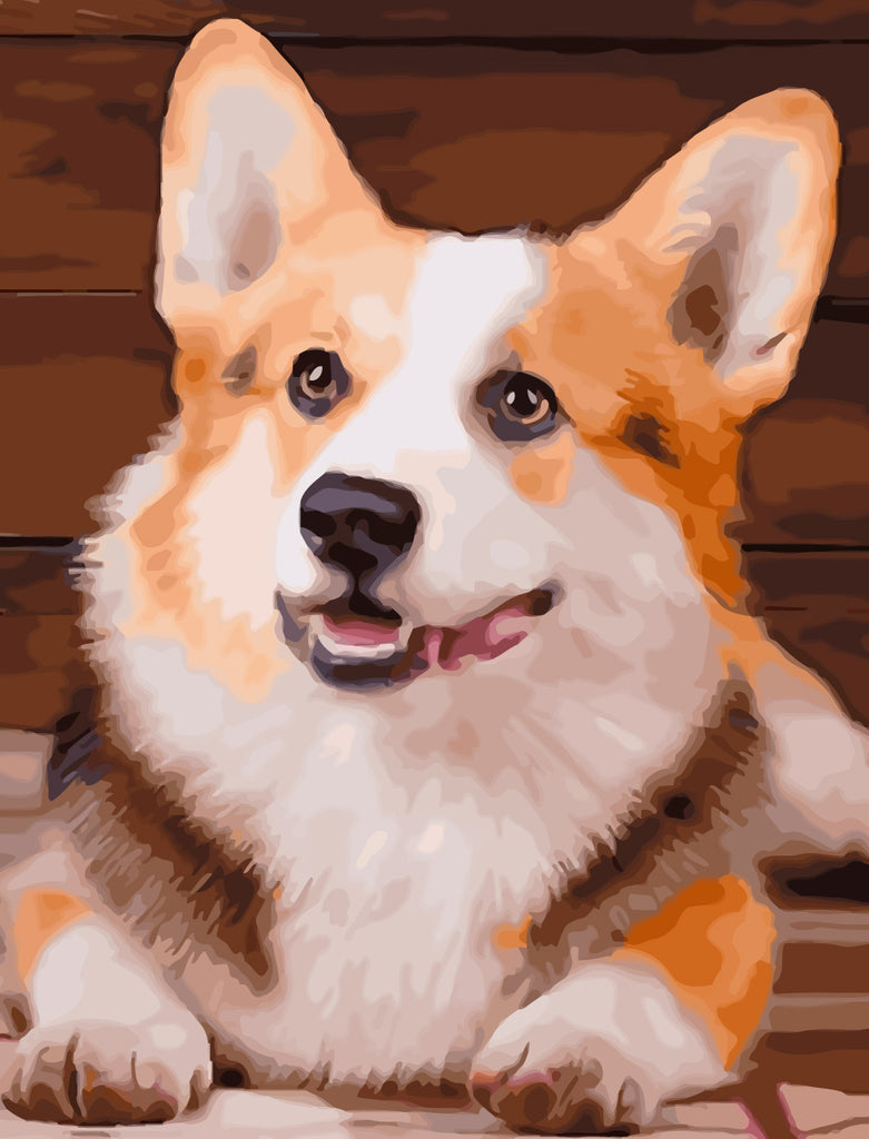 Cute Corgi Dog Paint by Numbers