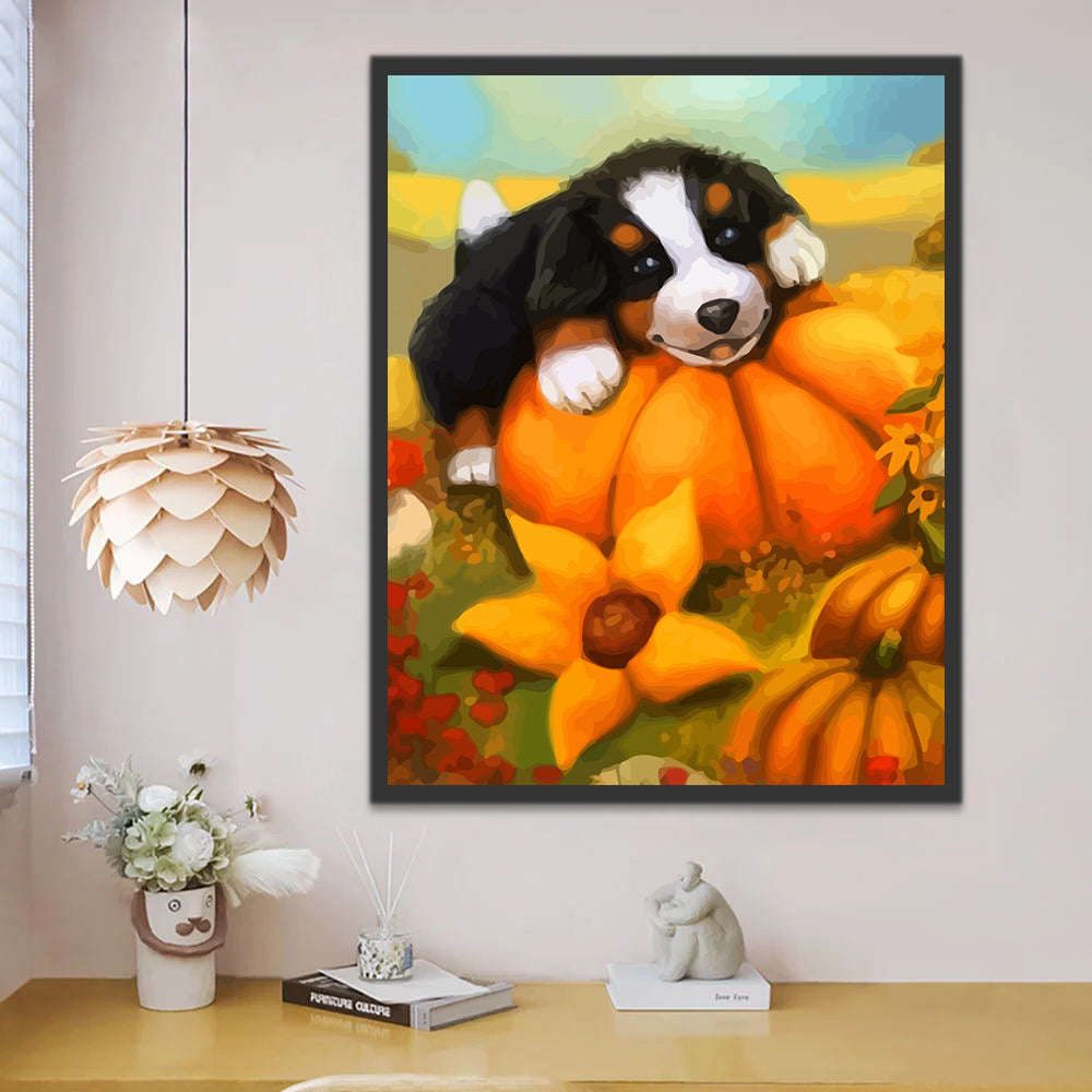 Cute Dog on the Pumpkin Paint by Numbers