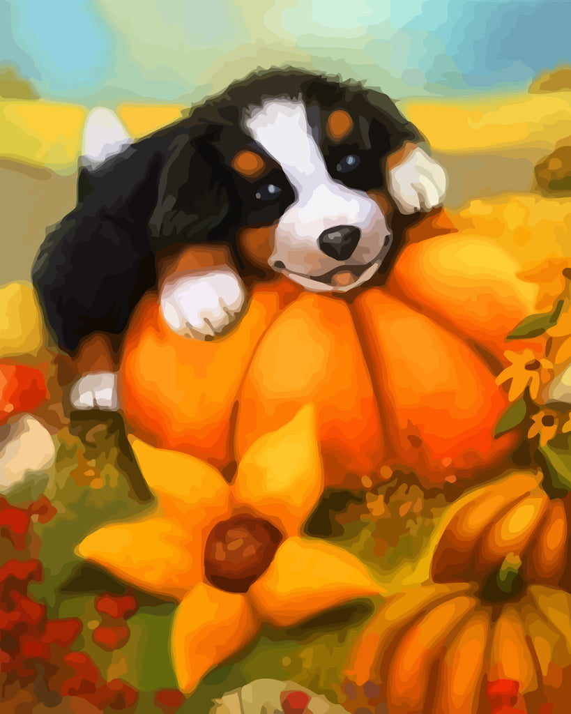 Cute Dog on the Pumpkin Paint by Numbers