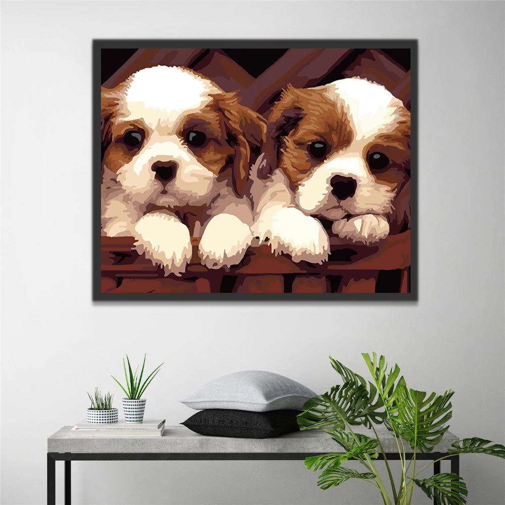 Cute Dogs Paint by Numbers