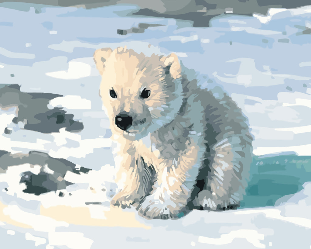 Cute Little Bear Paint by Numbers