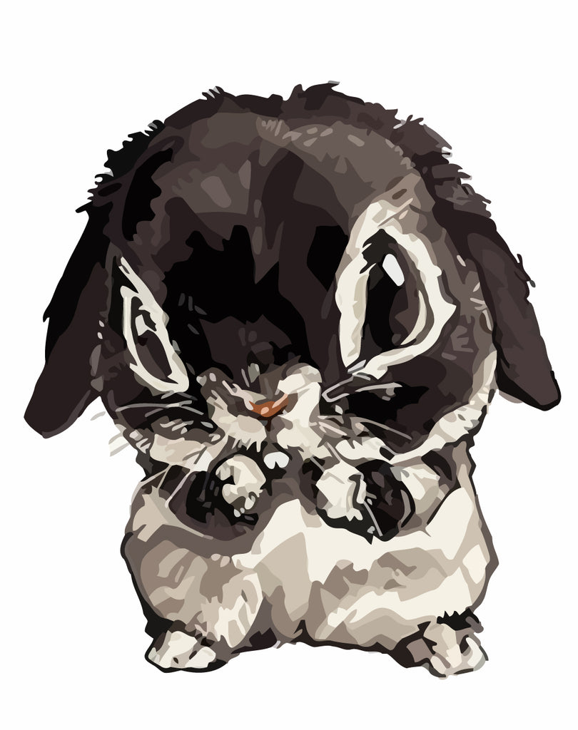 Cute Rabbit Paint by Numbers