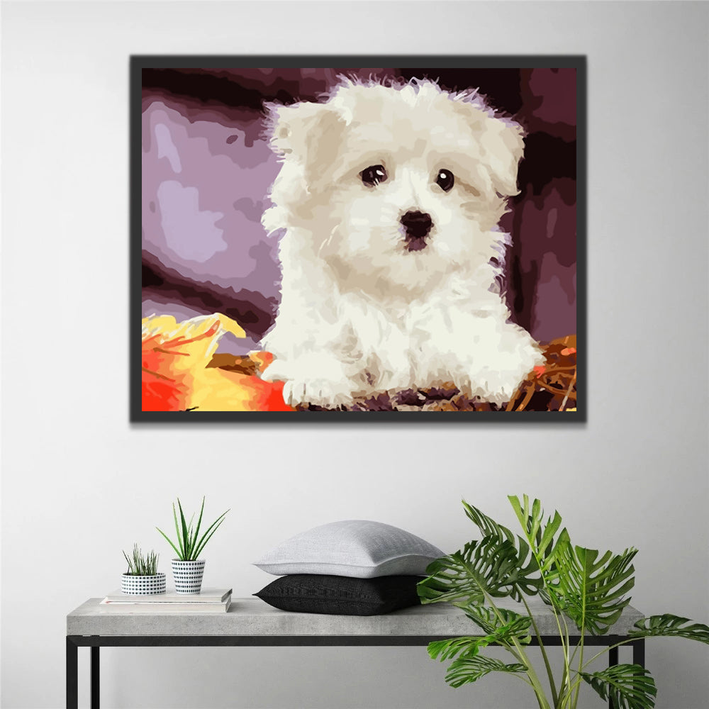 Cute White Dog Paint by Numbers