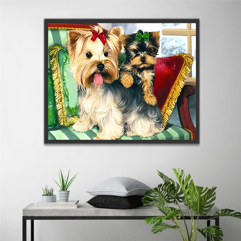 Cute Yorkshire Terrier Paint by Numbers