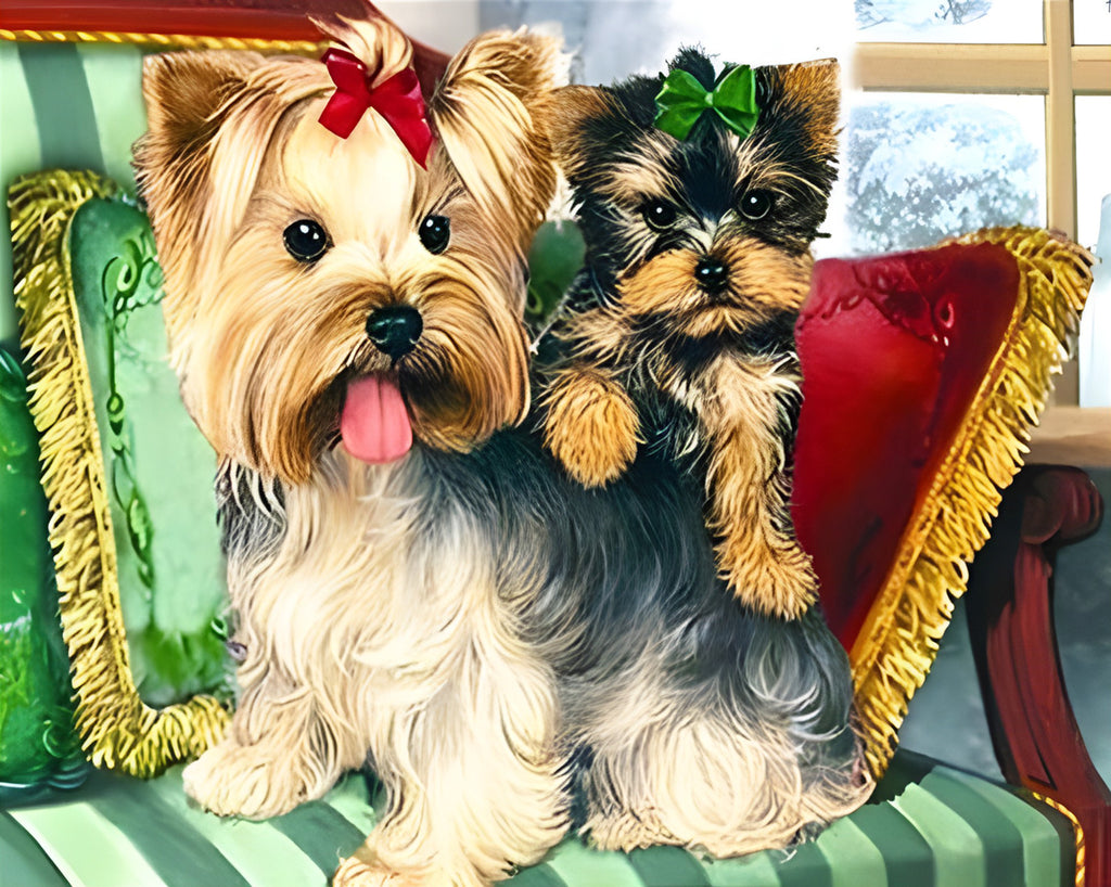 Cute Yorkshire Terrier Paint by Numbers