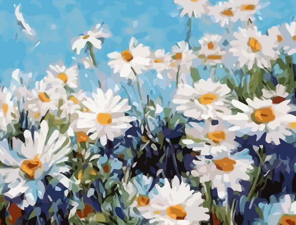 Daisies and Blue Sky Paint by Numbers