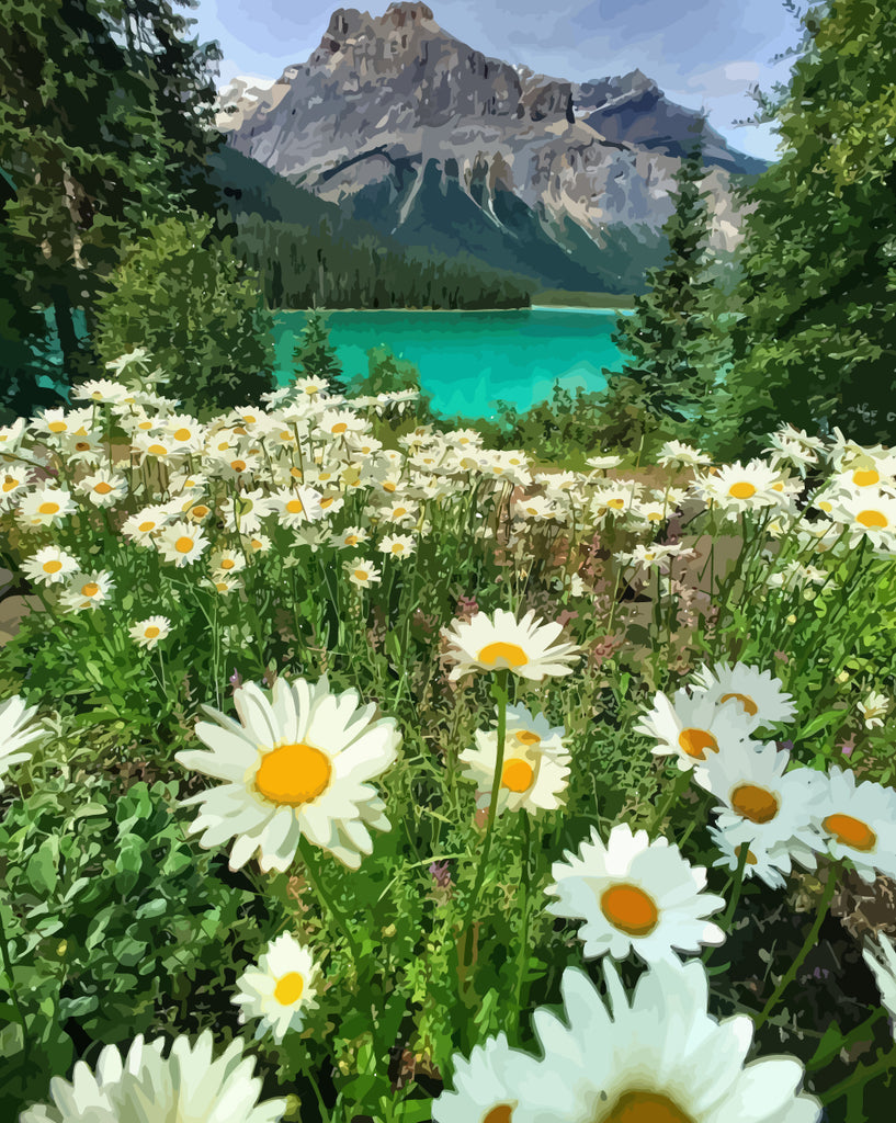 Daisies, Lake and Mountain Paint by Numbers