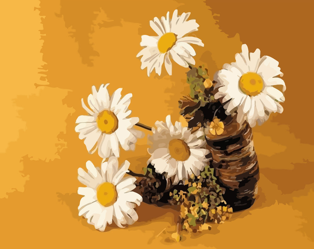 Daisies Paint by Numbers